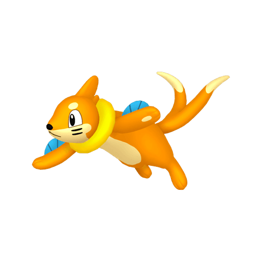 buizel