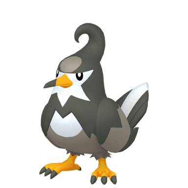 staravia