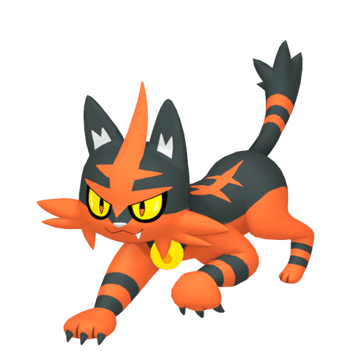 torracat