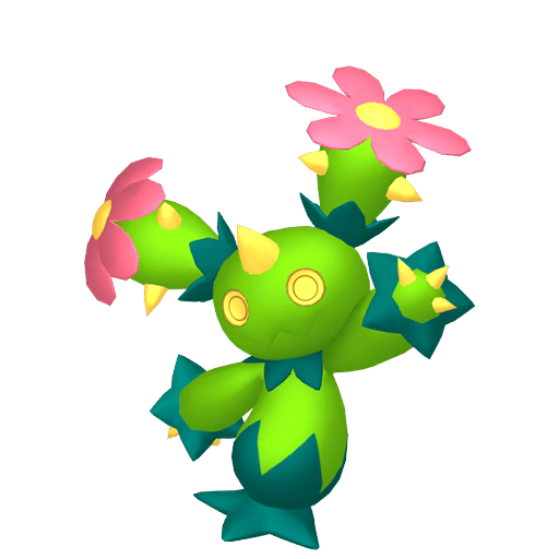 maractus