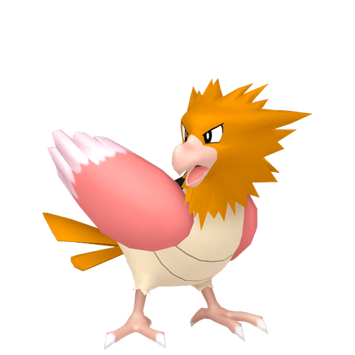 spearow