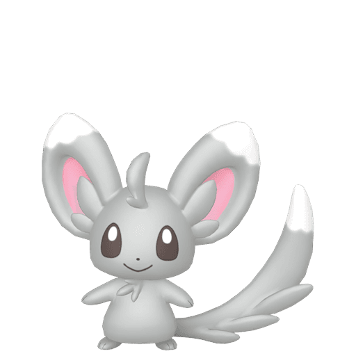 minccino