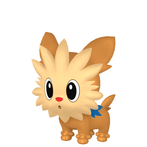 lillipup