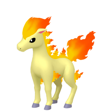 ponyta