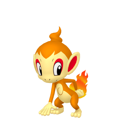 chimchar