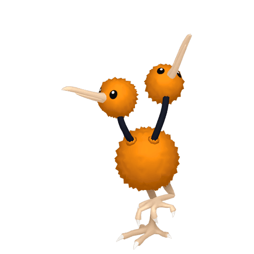 doduo