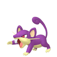 Rattata - Normal type Pokemon