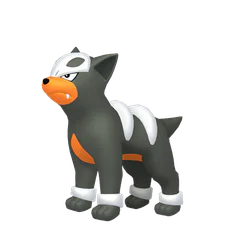 Houndour - Dark/Fire type Pokemon