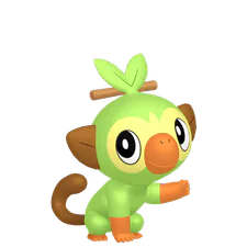 Grookey - Grass type Pokemon