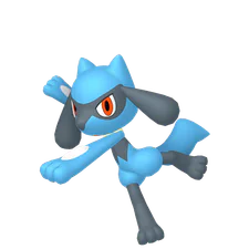 Riolu - Fighting type Pokemon