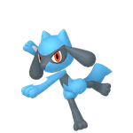 Riolu - Fighting type Pokemon