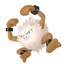 Primeape - Fighting type Pokemon