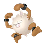 Primeape - Fighting type Pokemon