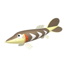 Arrokuda - Water type Pokemon