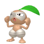 Nuzleaf - Grass/Dark type Pokemon