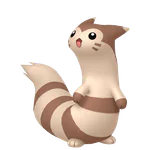 Furret - Normal type Pokemon
