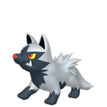 Poochyena - Dark type Pokemon