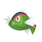 Basculin - Water type Pokemon