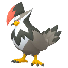 Staraptor - Normal/Flying type Pokemon
