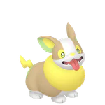 Yamper - Electric type Pokemon