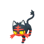 Litten - Fire type Pokemon