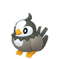 Starly - Normal/Flying type Pokemon
