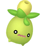Smoliv - Grass/Normal type Pokemon