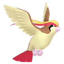Pidgeot - Normal/Flying type Pokemon