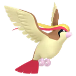 Pidgeot - Normal/Flying type Pokemon
