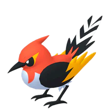 Fletchinder - Fire/Flying type Pokemon
