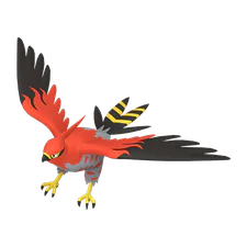 Talonflame - Fire/Flying type Pokemon