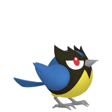 Rookidee - Flying type Pokemon