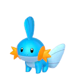 Mudkip - Water type Pokemon