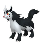 Mightyena - Dark type Pokemon