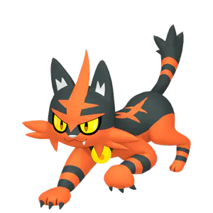 Torcat Evolution Torracat - Complete Pokémon Database
