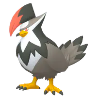 All Raptor Pokemon Staraptor - Complete Pokémon Database